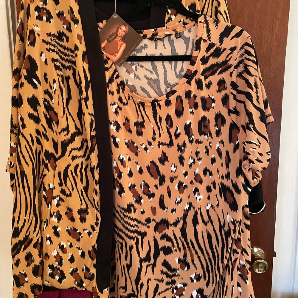 IMAN Animal Print Blazer and Top Set